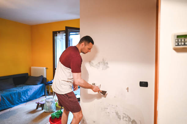 Best Health and Safety Mold Remediation in Braddock, PA